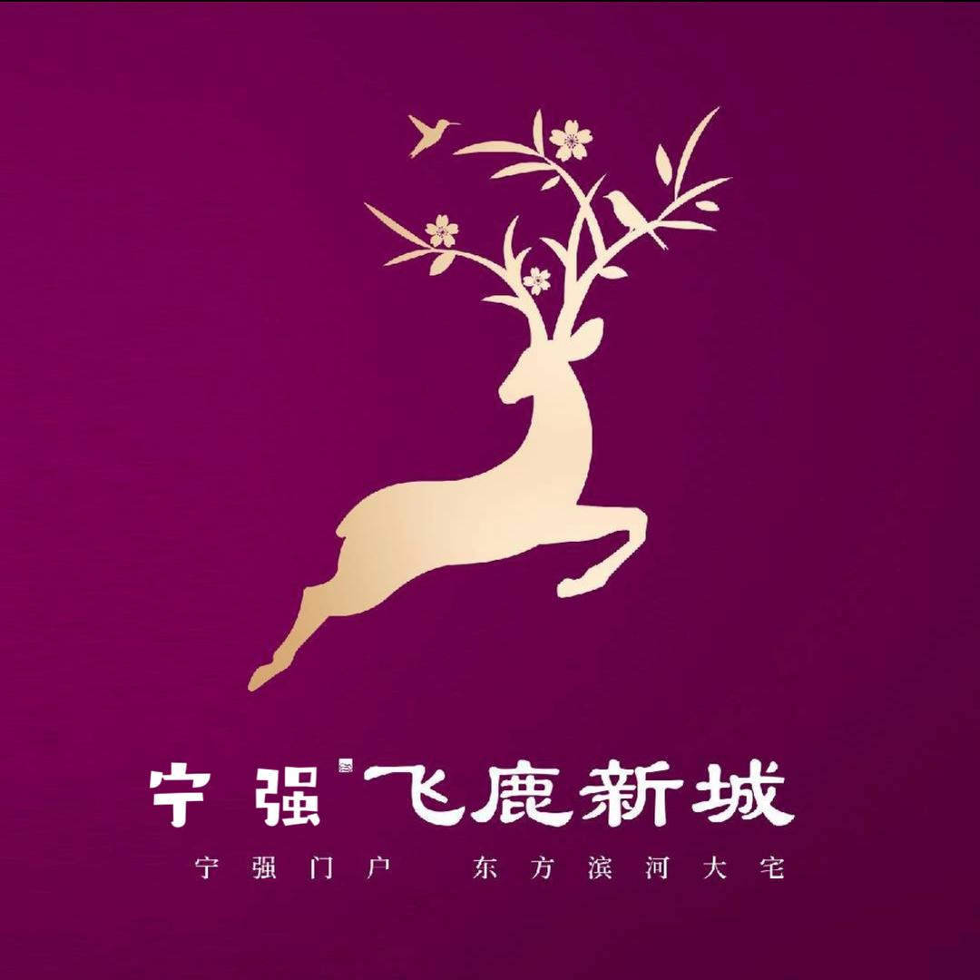 宁强·飞鹿新城咨询中心