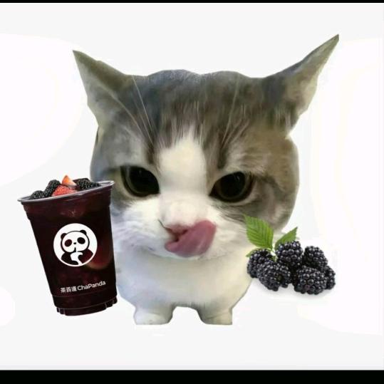 小茂密