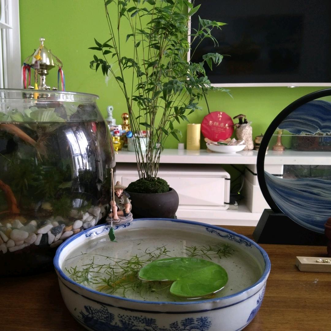 健康生活倡导者