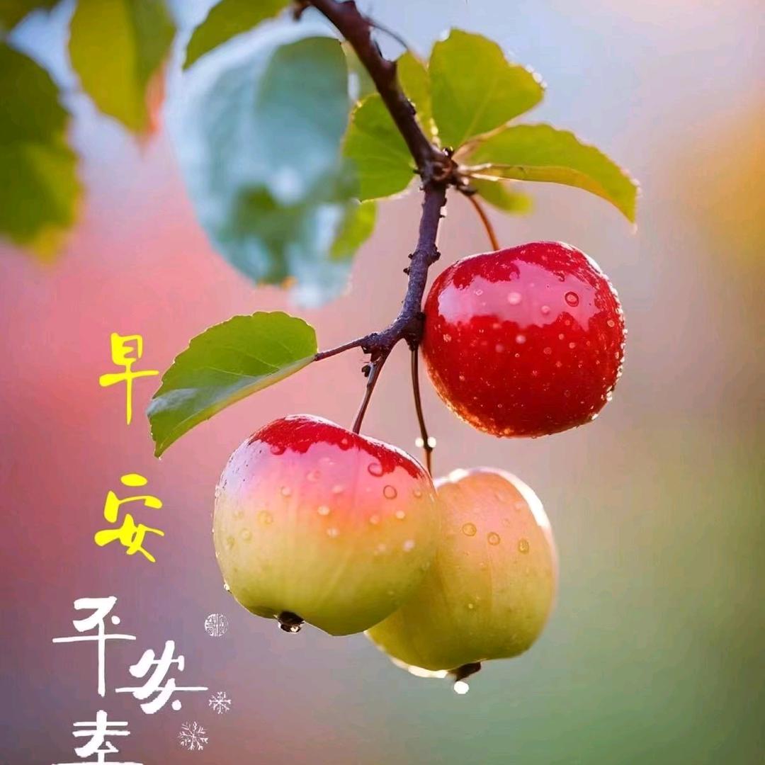 平平安安