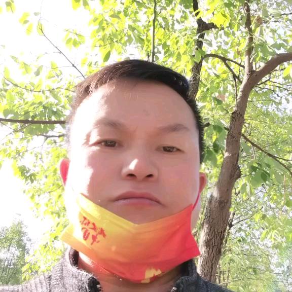 顺起其自然