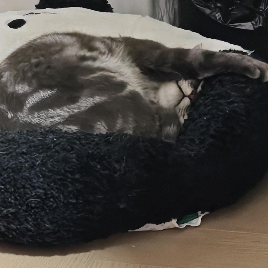 锦涛·临汾房百科找房