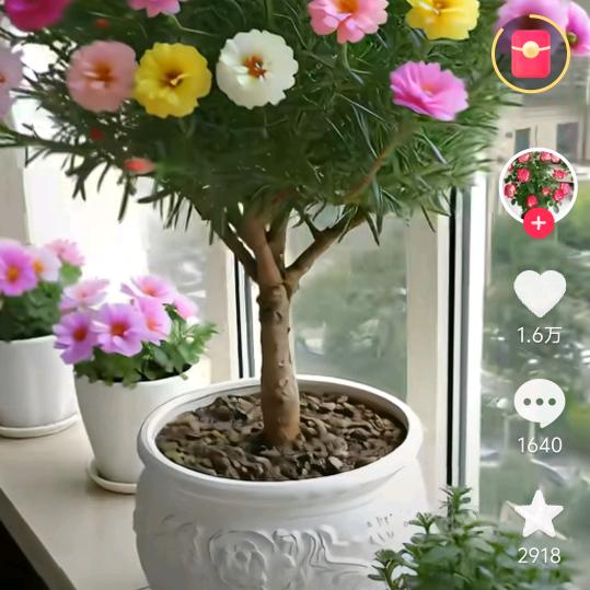 欧漫疗愈