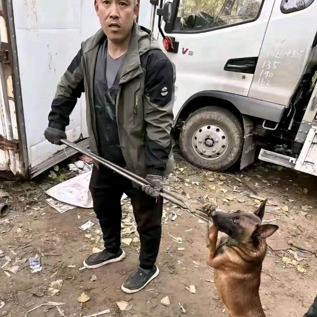 AAA专业套狗张师傅