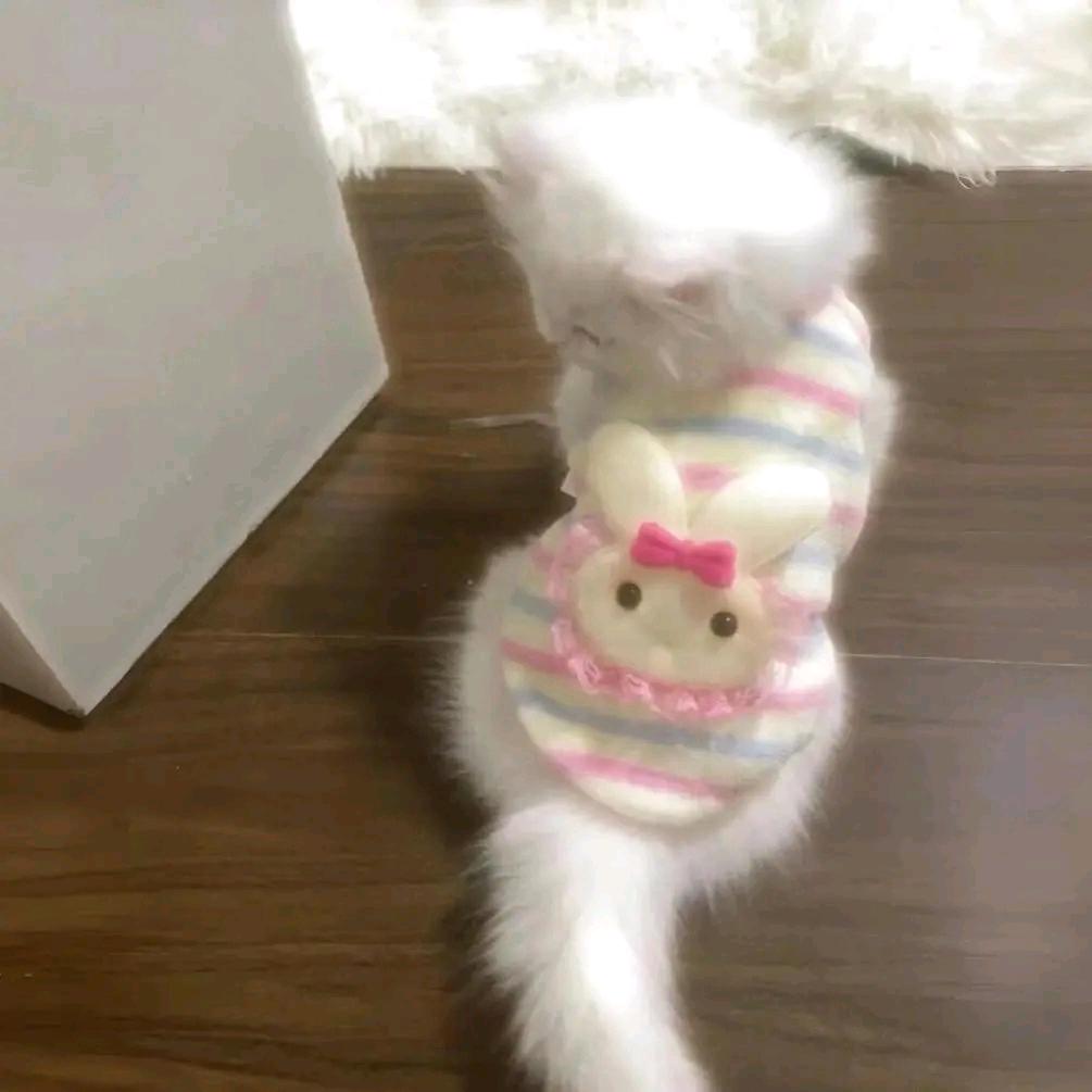 超级无敌美少女爱上超级无敌大帅哥