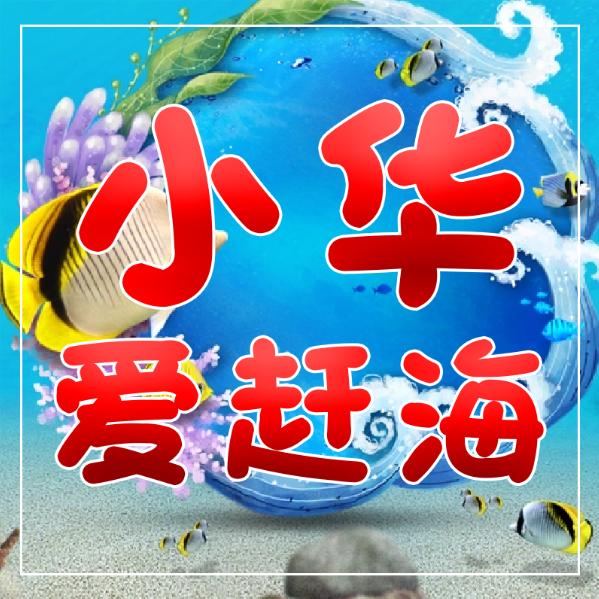 小华爱赶海(鲅鱼圈民宿带队赶海)