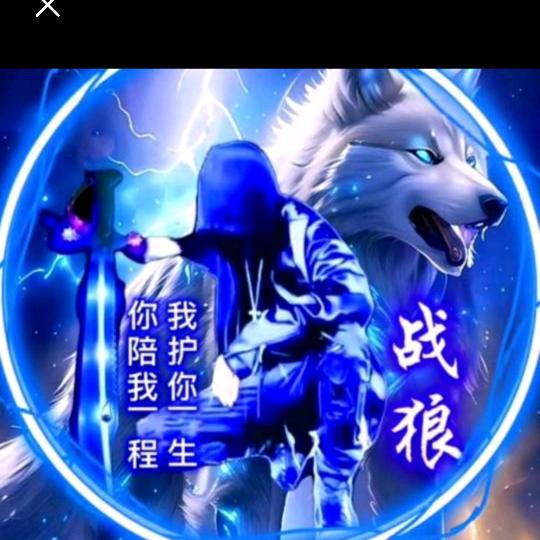 北方的狼