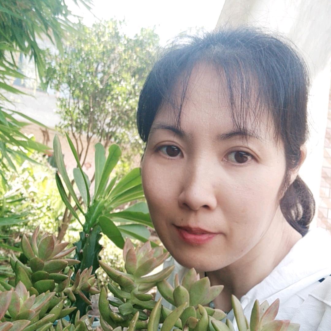 yang杨【谢绝连赞】