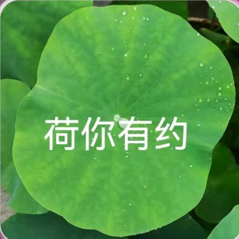独奏奈何桥