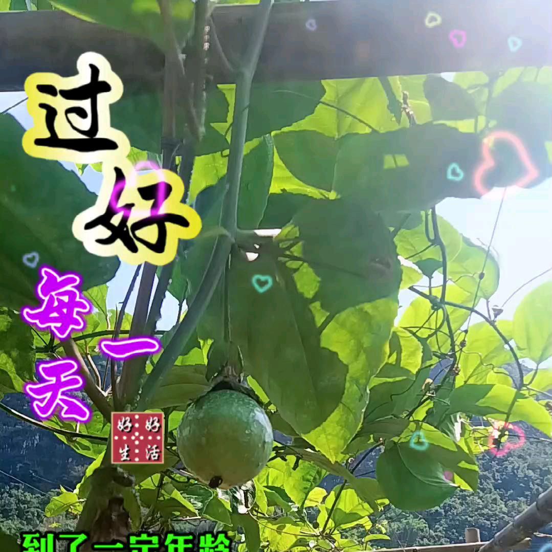 勤快(武哥)