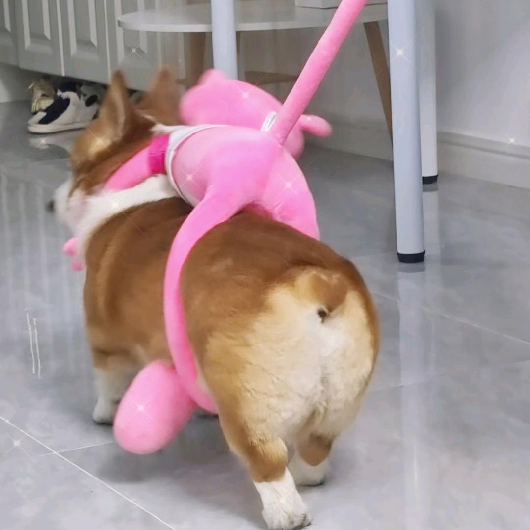 昳
