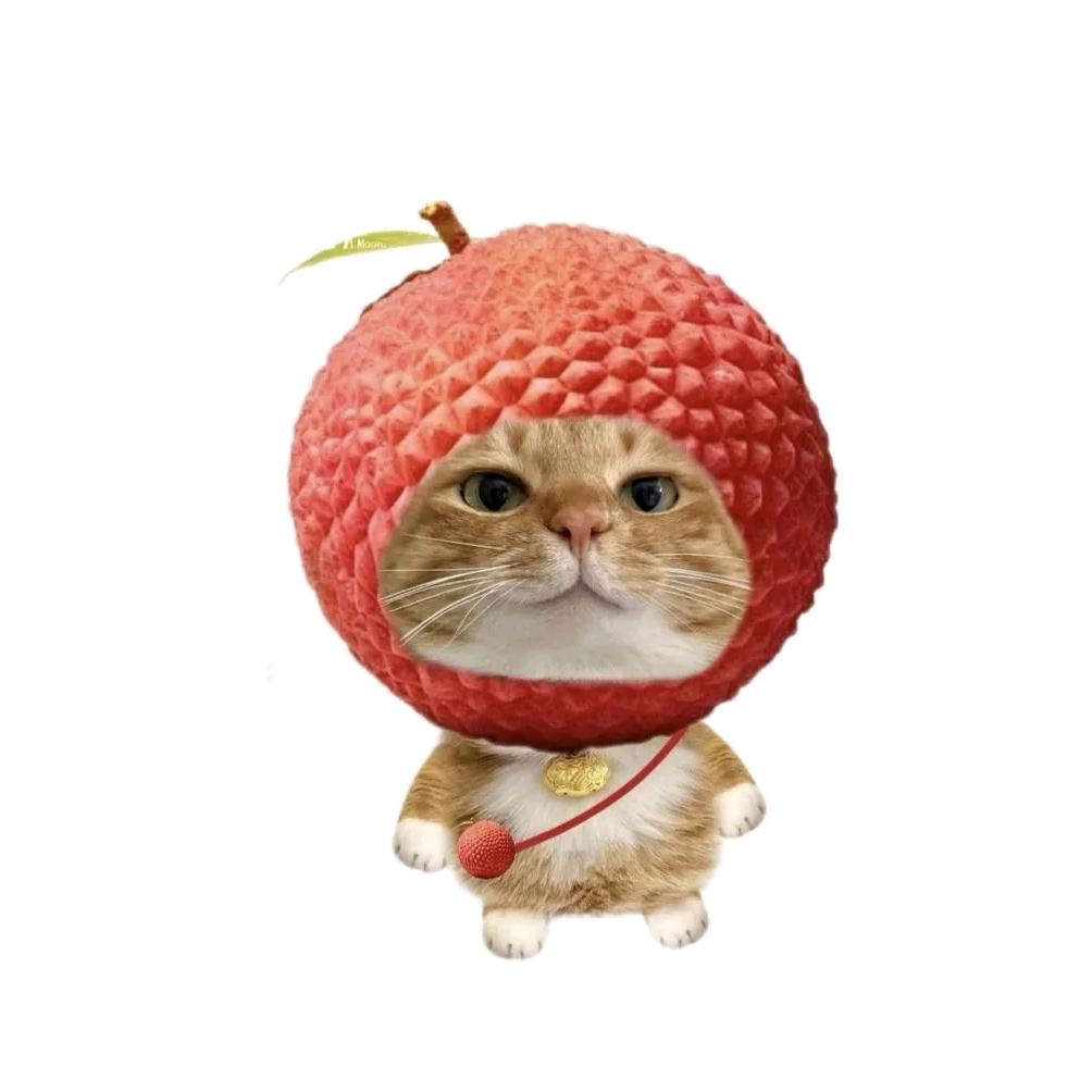 荔所当然