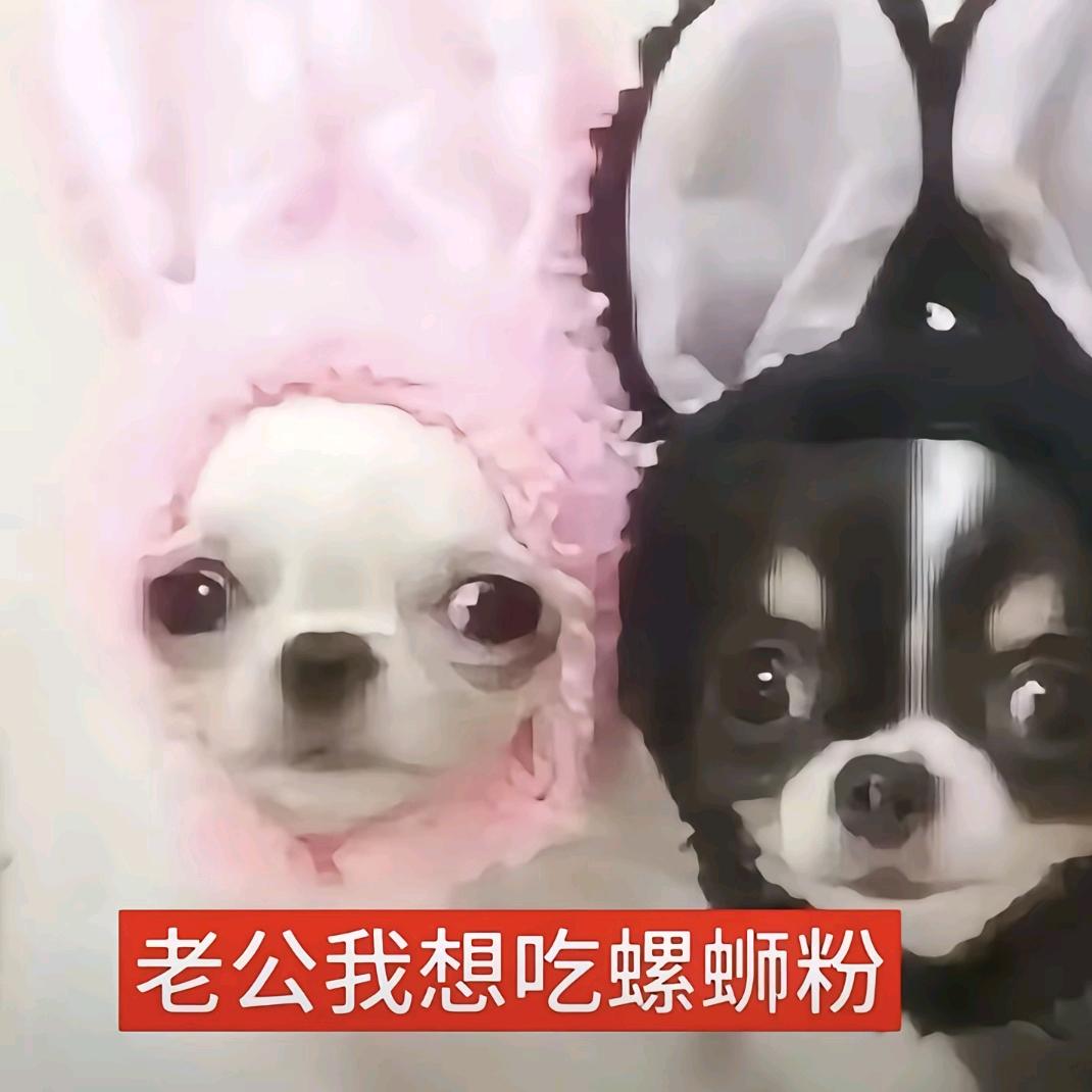 如意