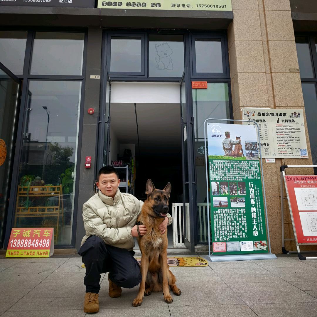 战狼宠物训练馆