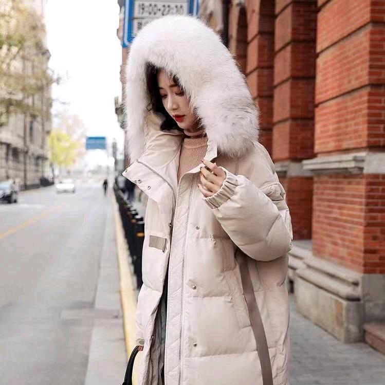 εᕙ落叶ᕗ无声:･☆