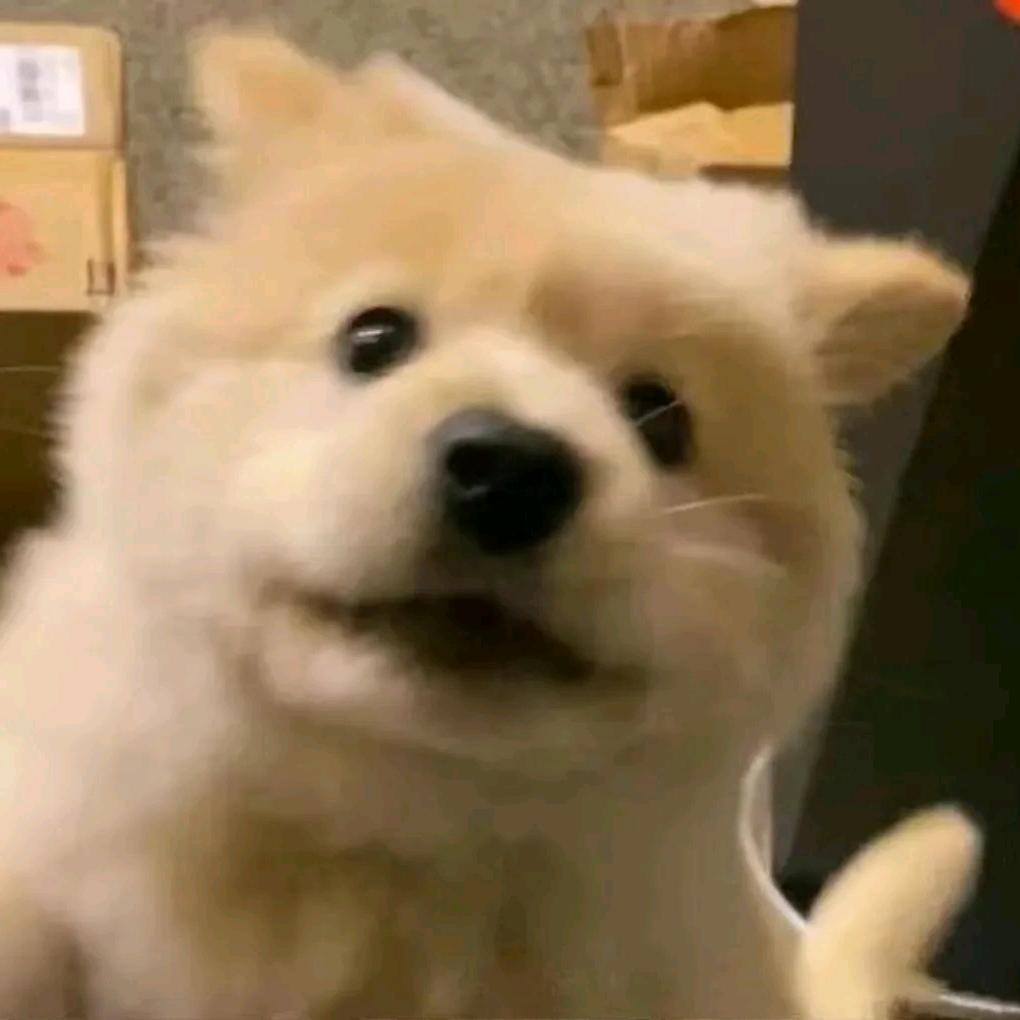 Qiu