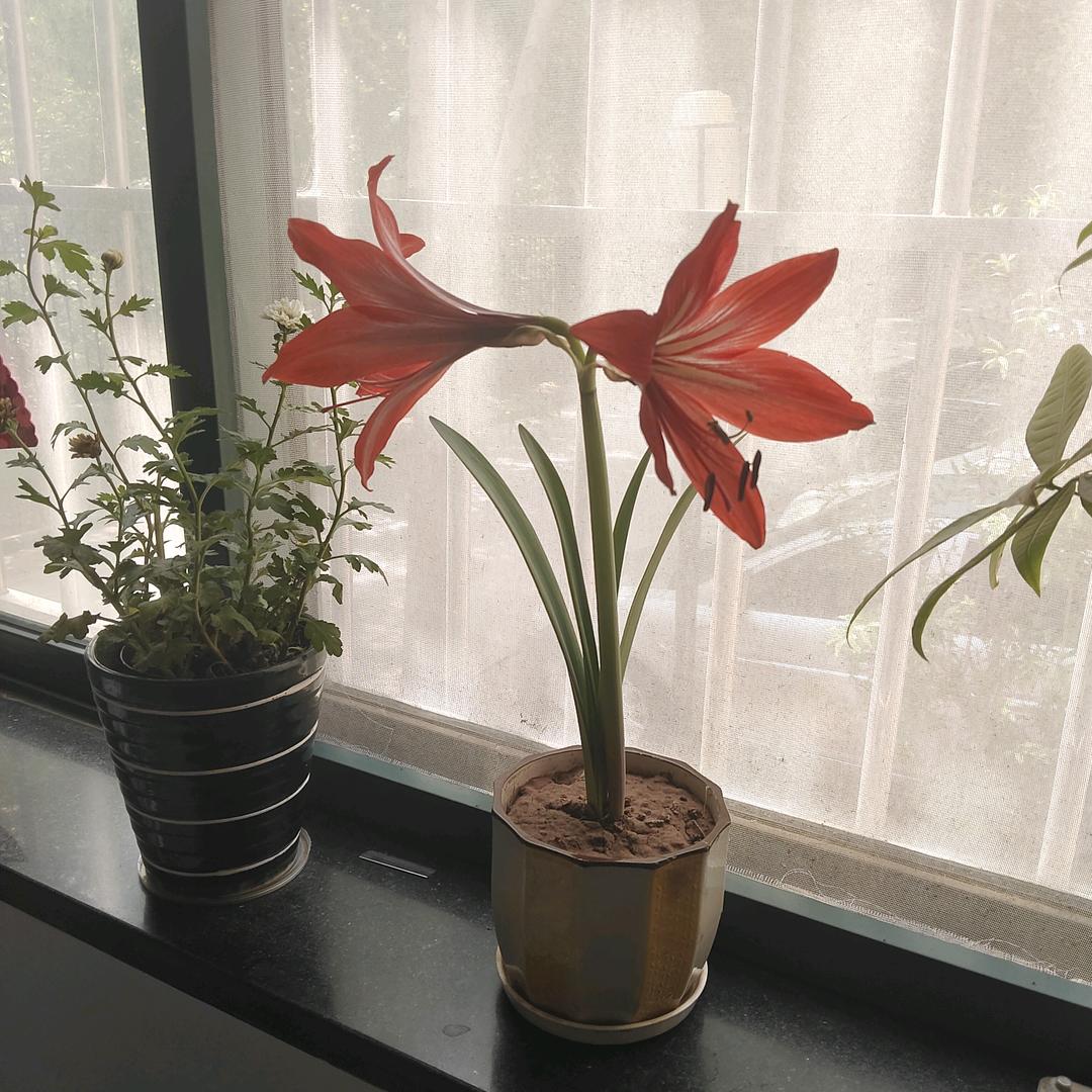 💗᭄小幸运💫🍀