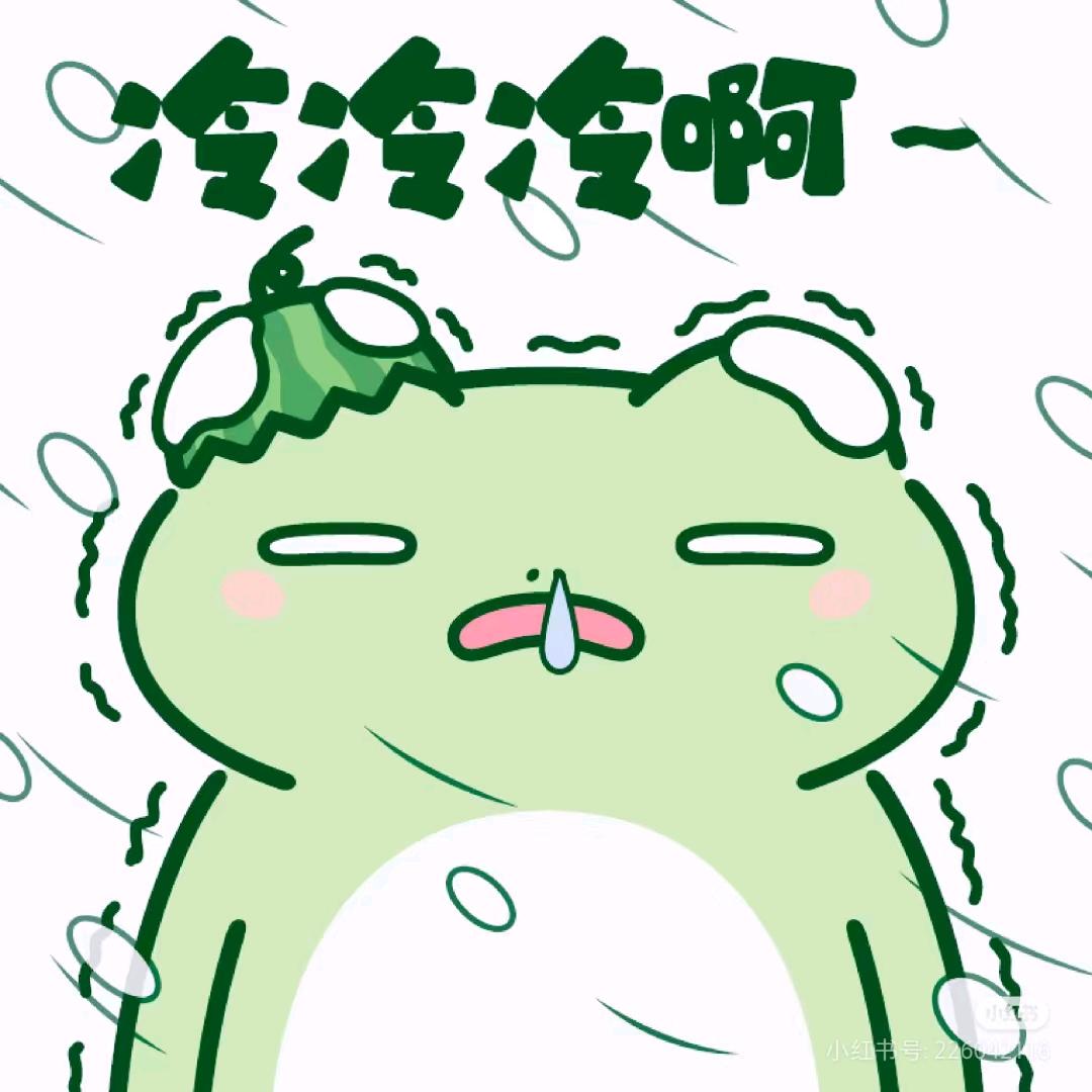 菠萝吹雪Y