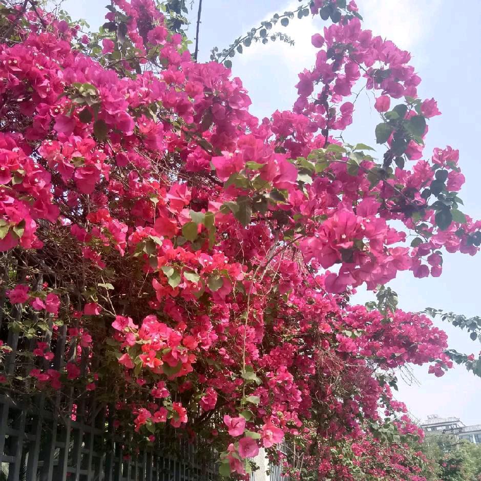 冷言冷语冷人心