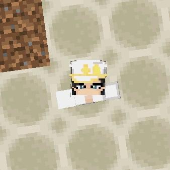 我的世界小冬(有时候玩布鲁可)