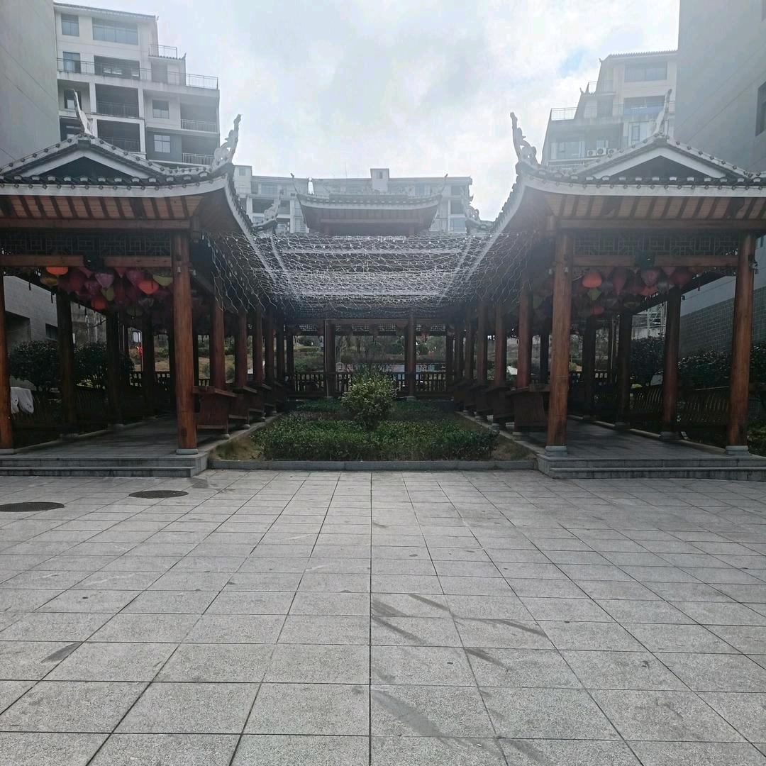 🐉程哥@🐉