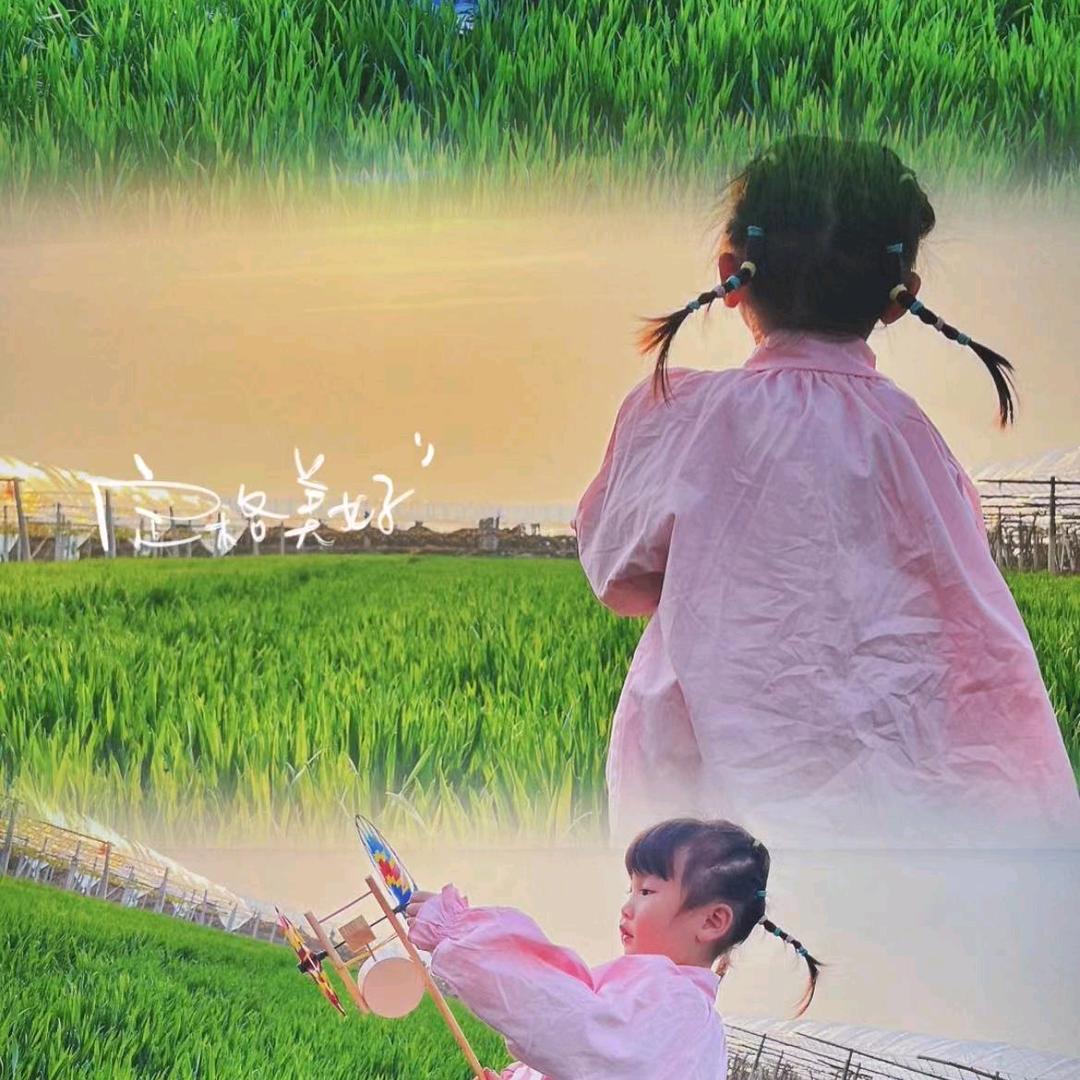 白虎纪泽车行  打药机销售 维修