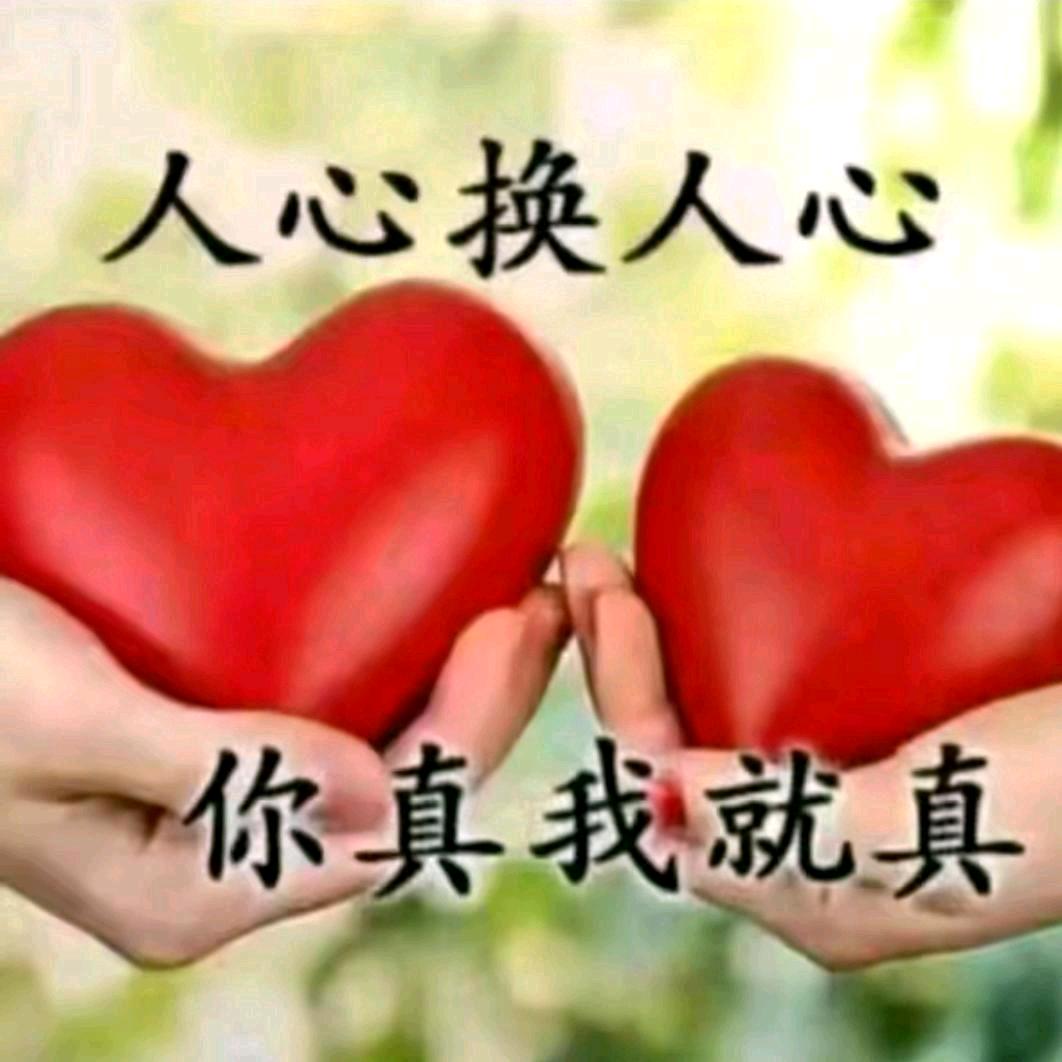 有李说不清