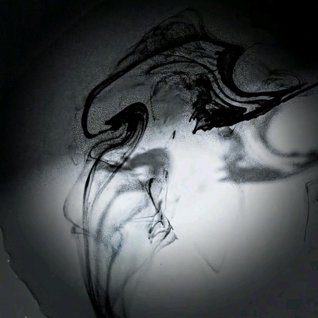 飞鸟不渡