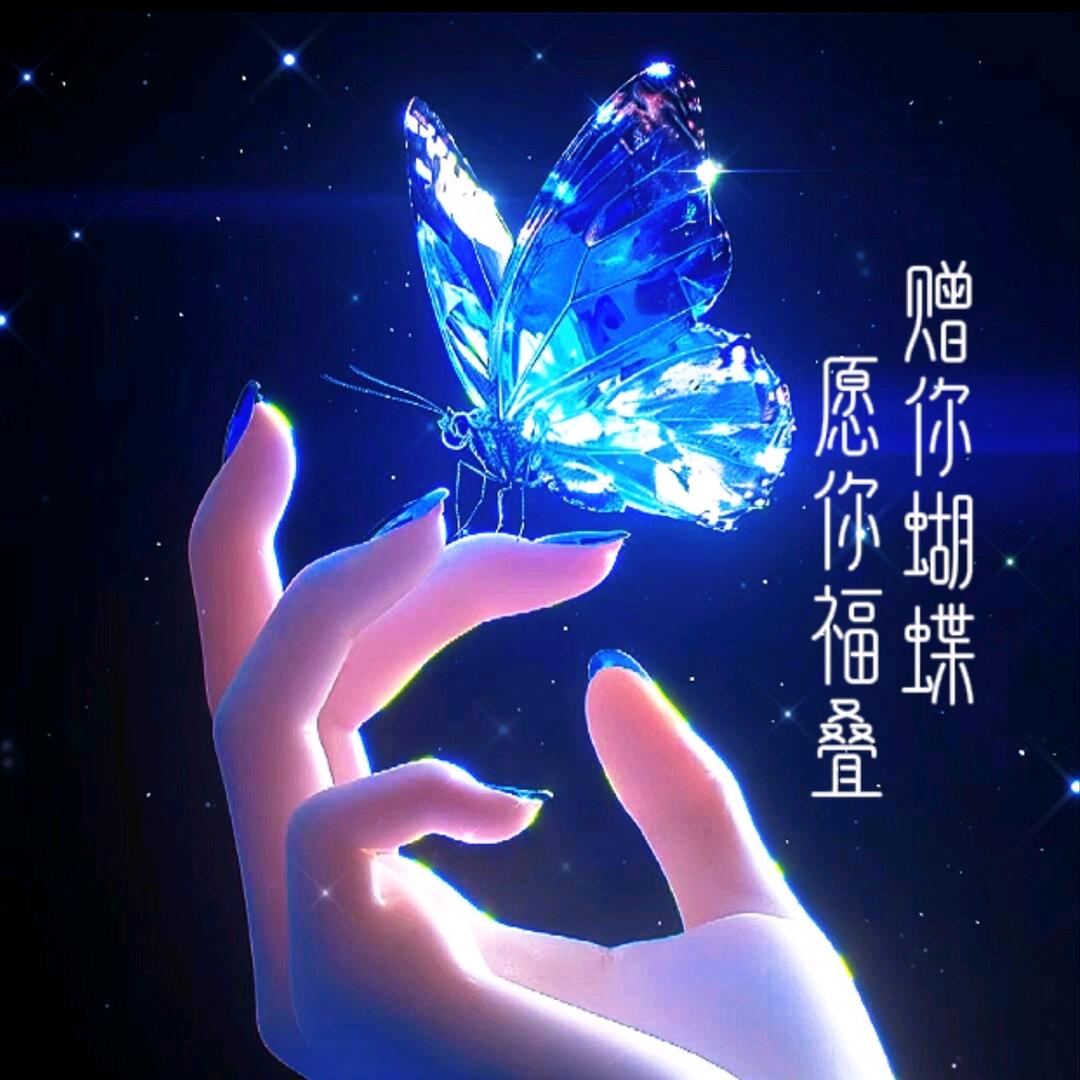 星语心愿