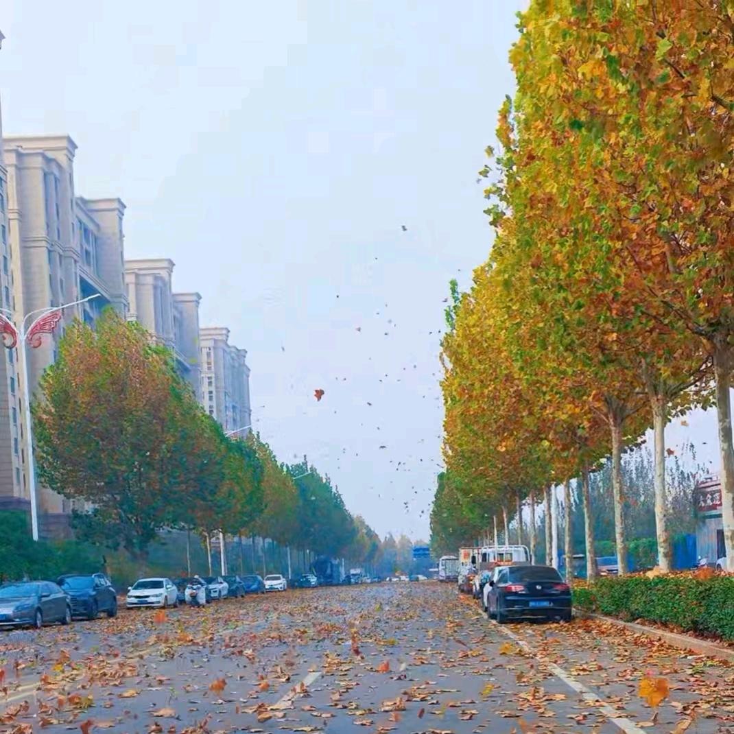 ℳ̶̶̶̶.……ℳᵥ̶ₑ̶ᩚ