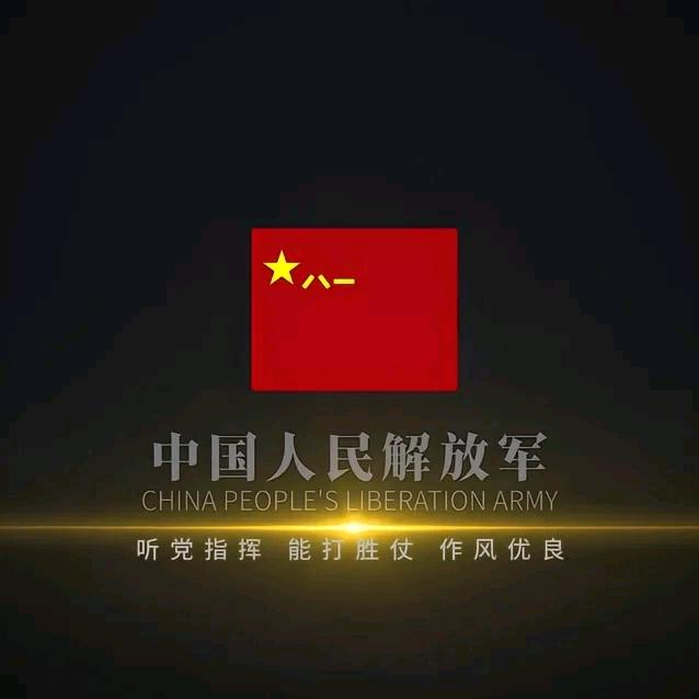 PLA(酱包版)(陆)(大疆创新)