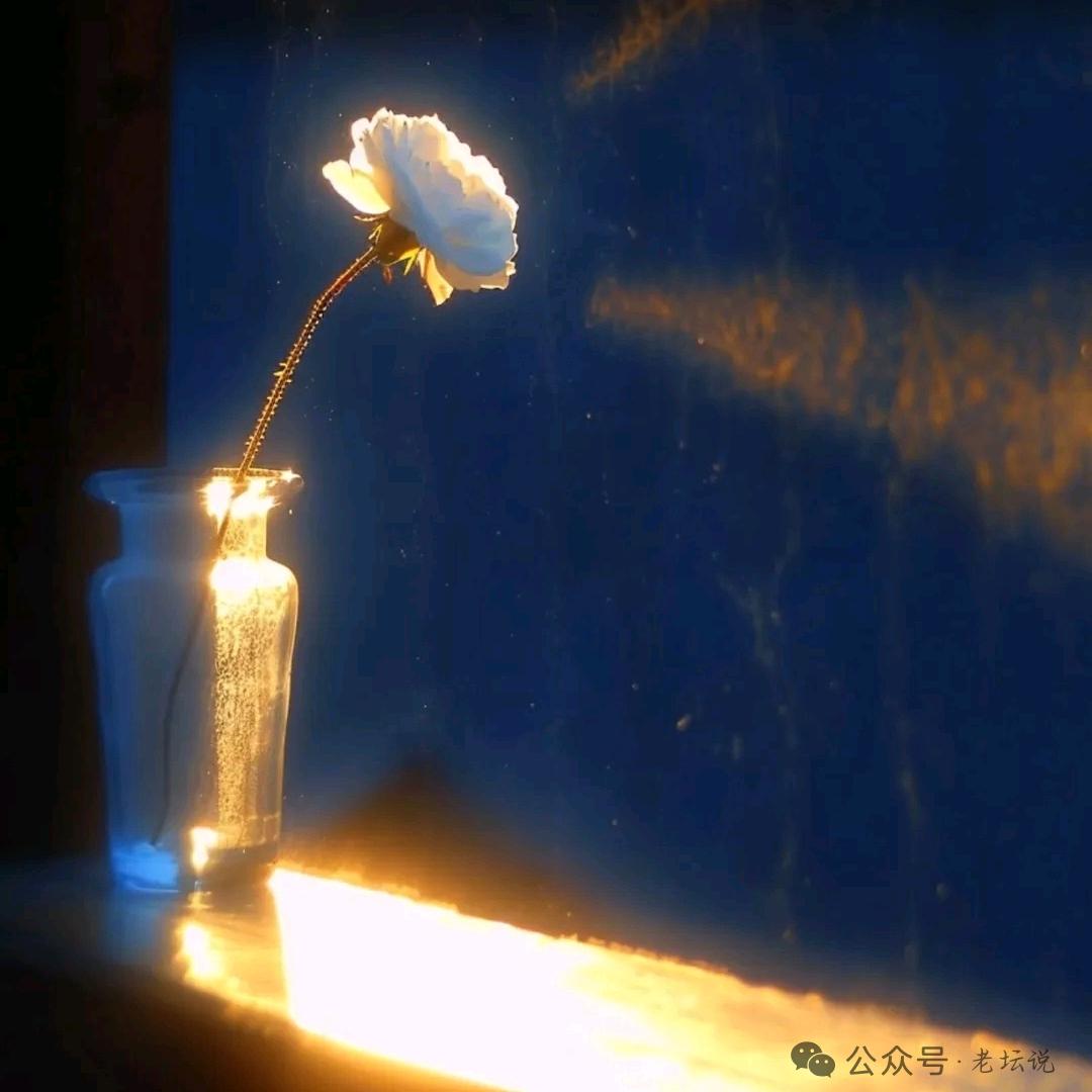 幼稚鬼 ʚ⌯'ᵕ'⌯ɞ她哭了