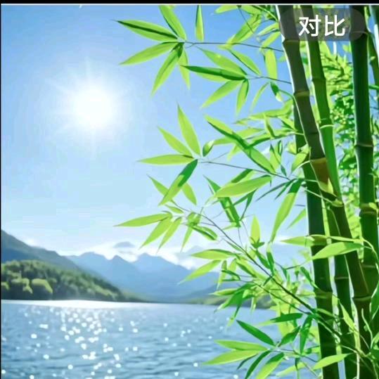 怏乐