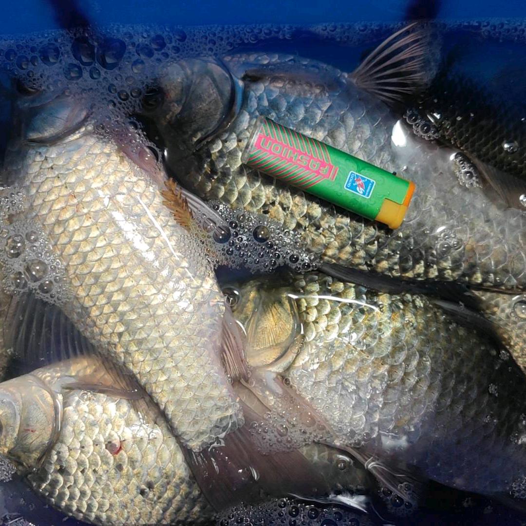 狙鲫手^O^陈小君