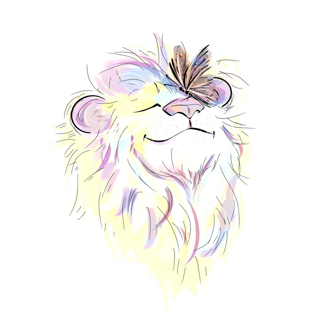 狮子座的小蝴蝶😘