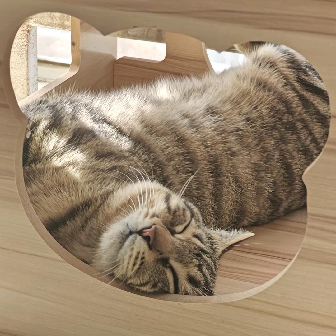良辰