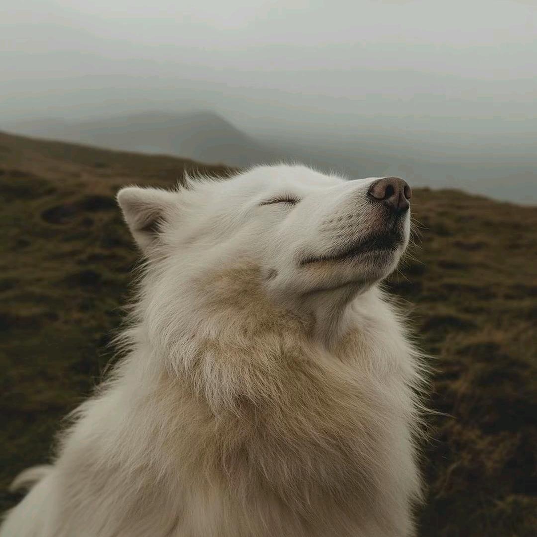 小朱的生活日记
