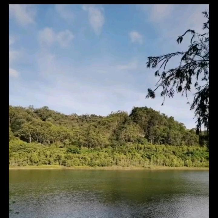 紫珺婳浅