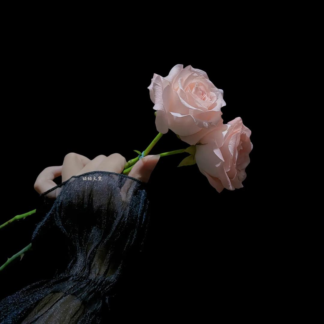 এ᭄ꦿ꯭ꫛ木南꧔ꦿএ᭄