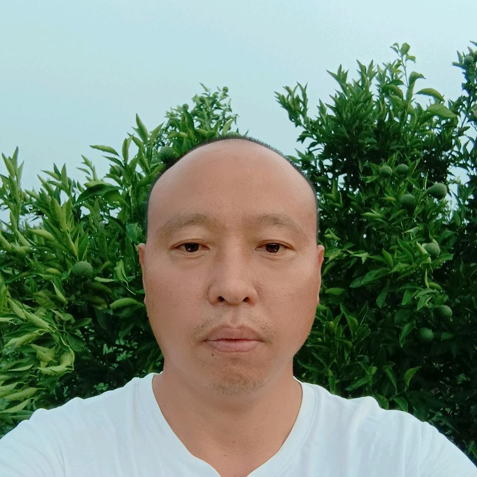 眉山耙耙柑苗苗