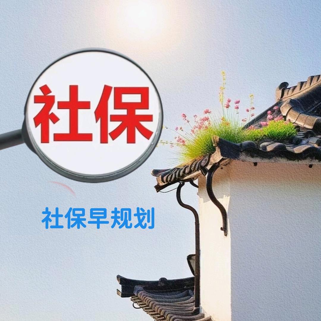 社保早规划