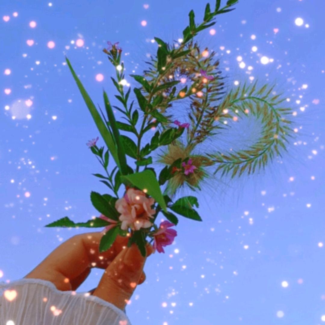 青青子衿，🌺🌺🌺🌺悠悠我心