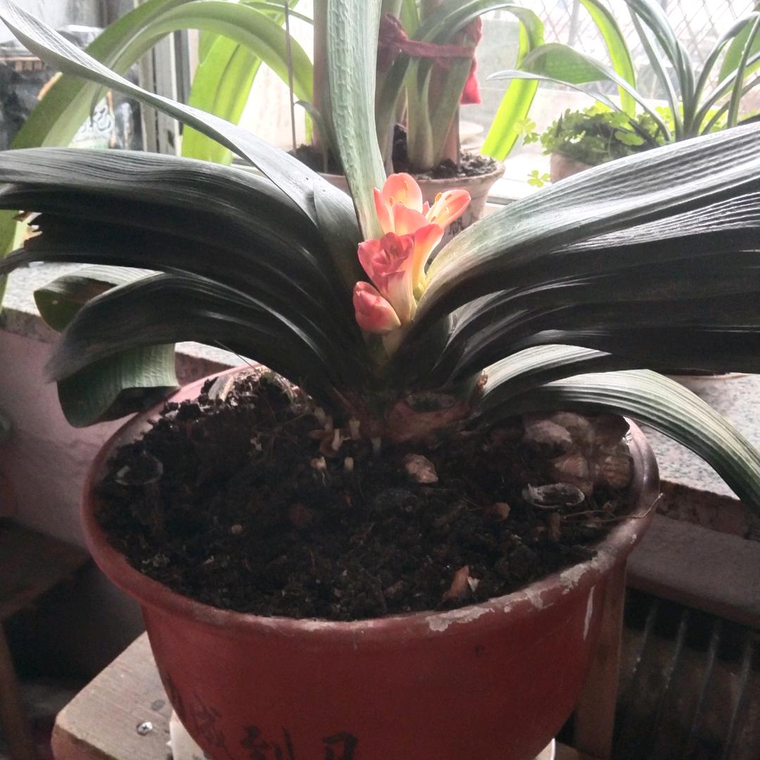 宋荣