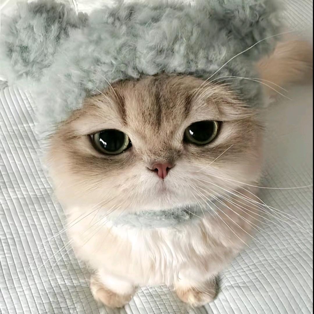 …头像