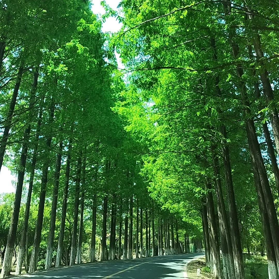 山高路远