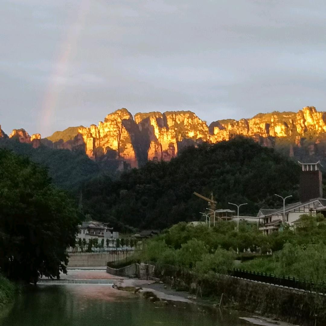 平凡的兔子