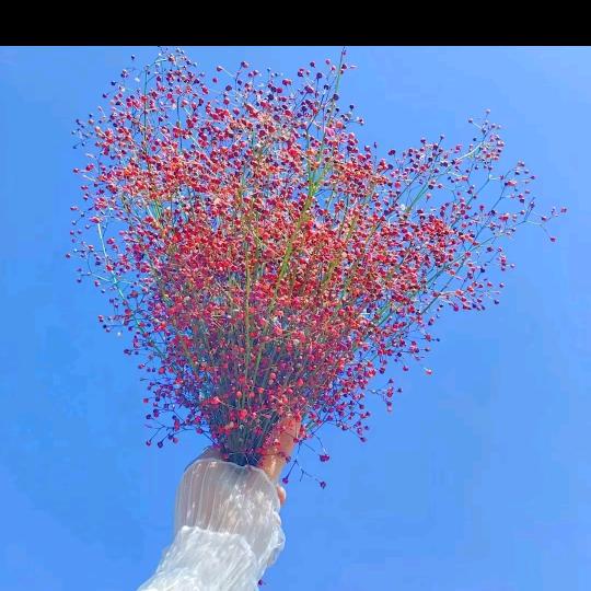 手可摘星辰