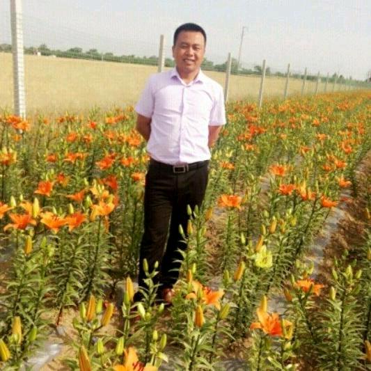 绿景绿化苗木-胡常青