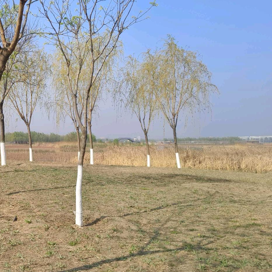 放下执念，善待自己