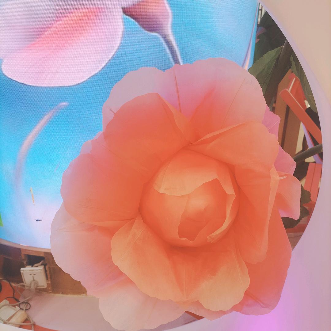 秋风送爽